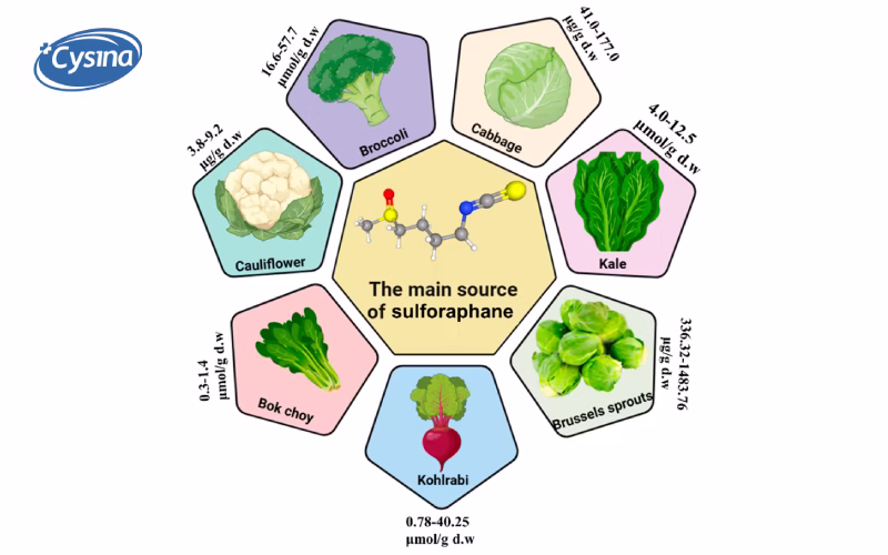 Sulforaphane: Hợp chất "vàng" cho sức khỏe toàn diện
