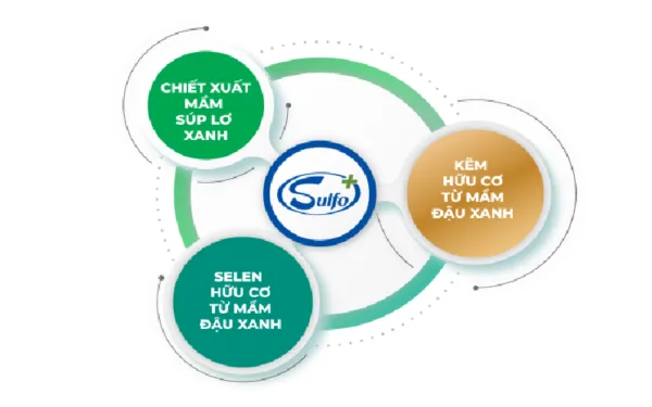 Nhóm Sulfo+ Bộ 3 Sulforaphane, Kẽm hữu cơ và Selen hữu cơ- Báo cáo nghiên cứu tổng hợp