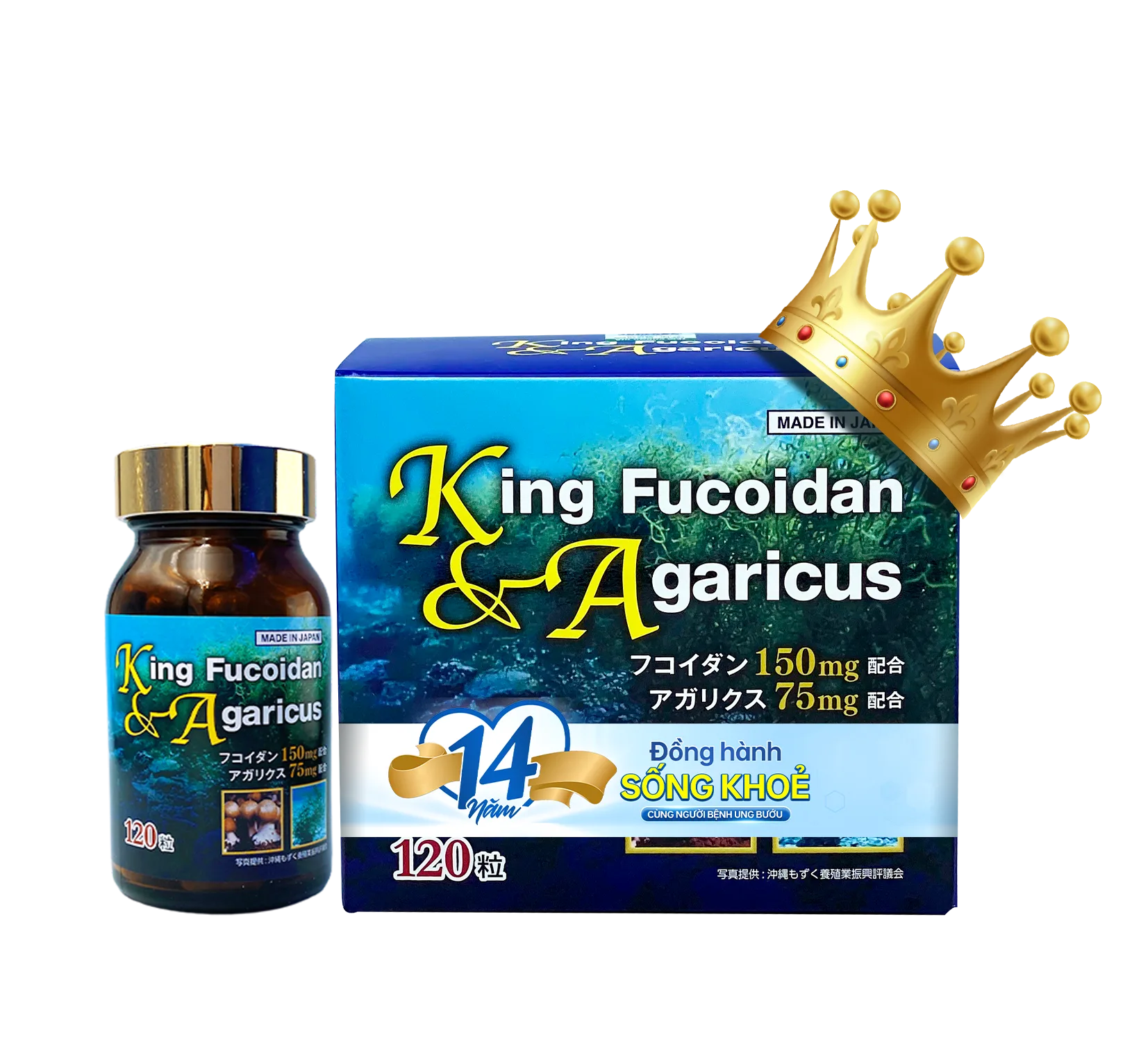 King Fucoidan & Agaricus – Fucoidan Xanh đến từ Nhật Bản 120 viên