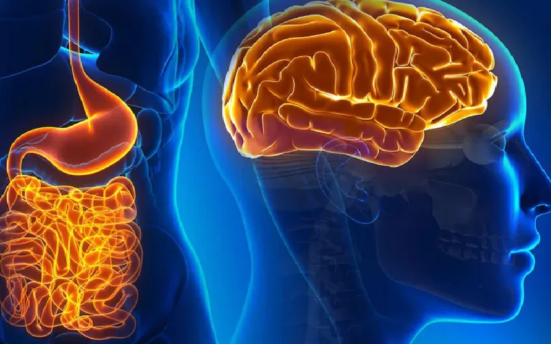 Đau dạ dày nhưng nội soi không thấy loét – Lý do có thể bạn chưa biết Đau dạ dày nhưng nội soi không thấy loét – Lý do có thể bạn chưa biết