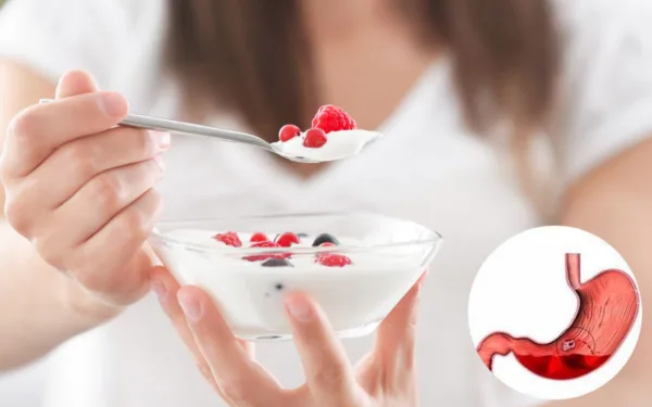 5 loại thực phẩm được truyền tai tốt cho dạ dày – Sự thật khoa học là gì?