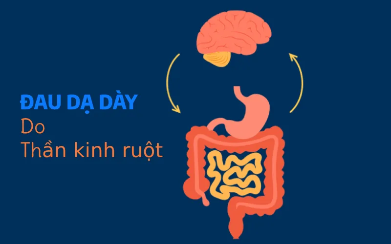 Sự khác biệt giữa đau dạ dày do acid – vi khuẩn – thần kinh ruột