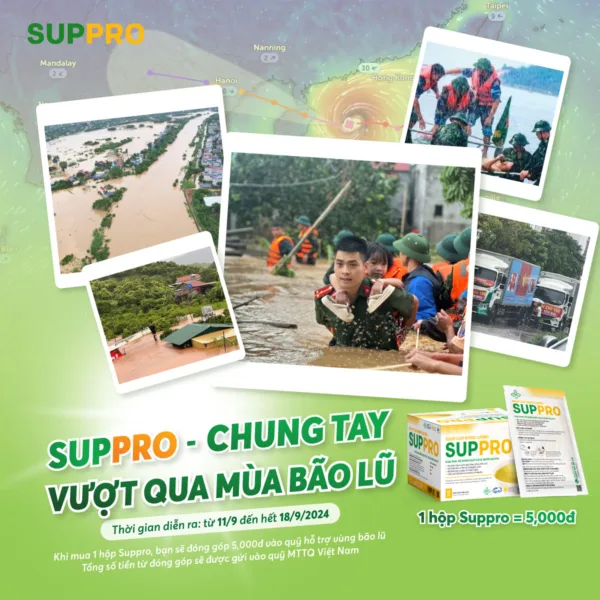 Chung Tay Vượt Qua Bão Lũ Miền Bắc: Mỗi Hộp Suppro - Một Tấm Lòng