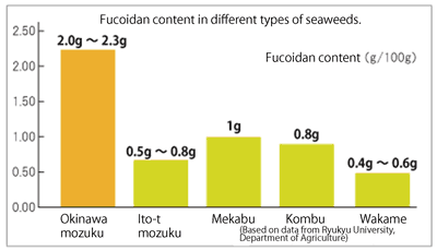 Nghiên cứu về Fucoidan